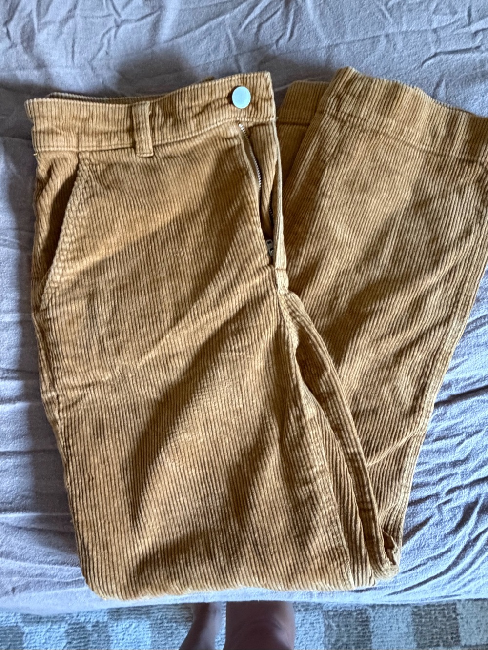 Everlane Men's Corduroy Pants in Tan Brown